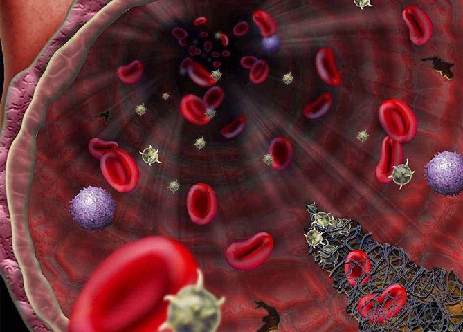 血漿蛋白干燥技術(shù)解決方案